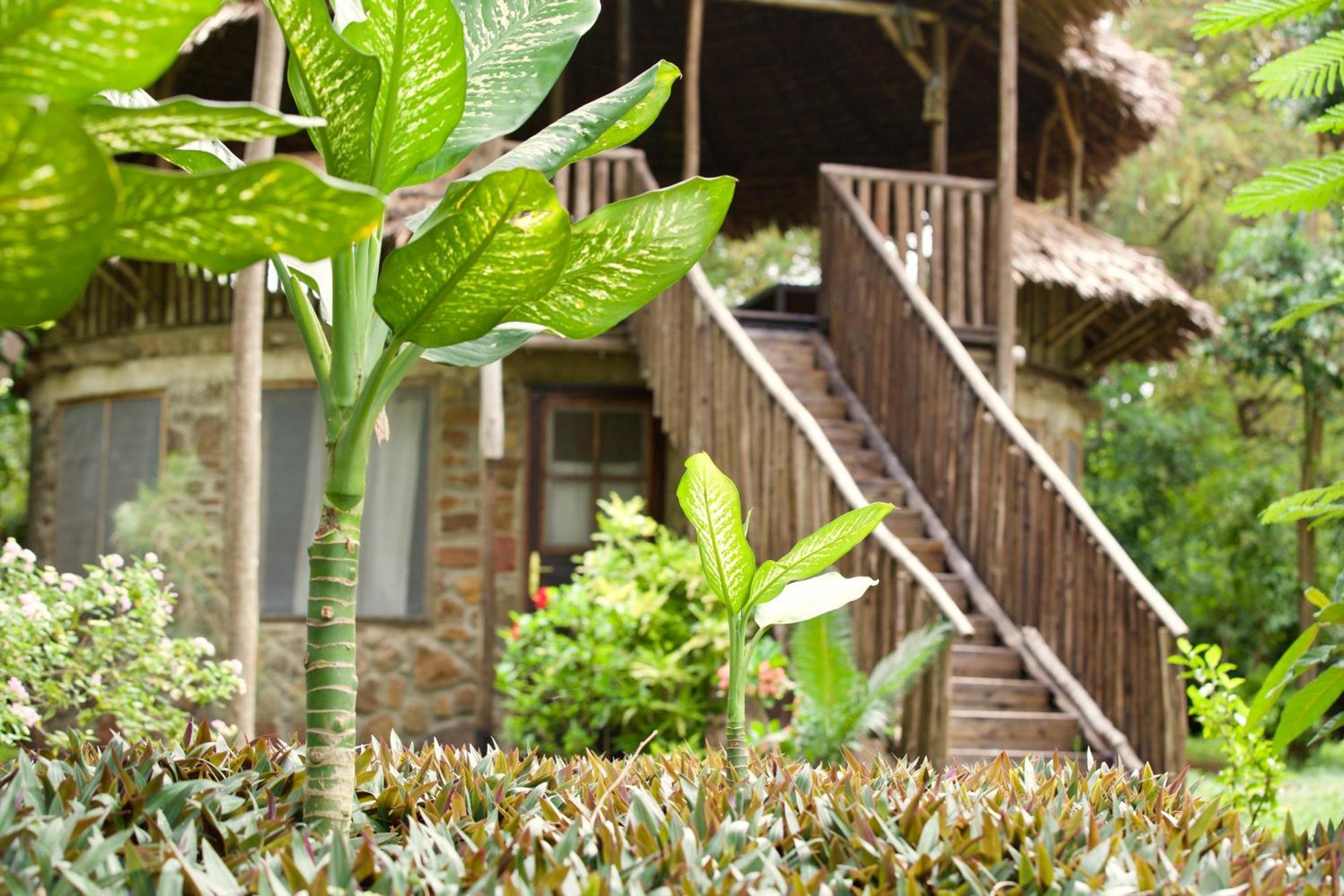 Baker Safari Company Villa Kwangwazi Buitenkant foto