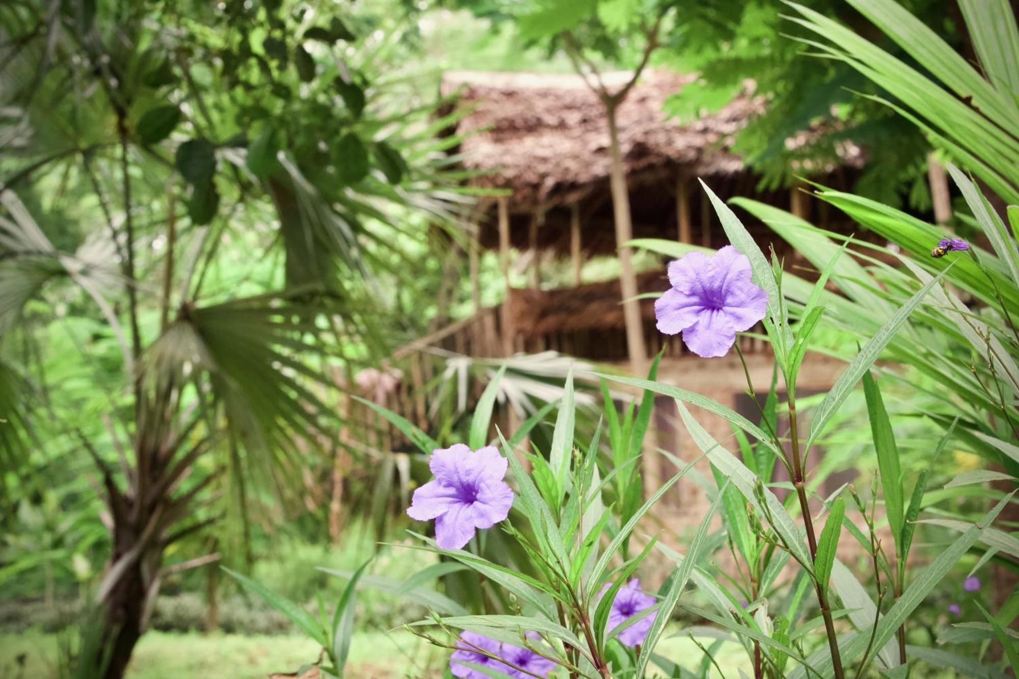 Baker Safari Company Villa Kwangwazi Buitenkant foto